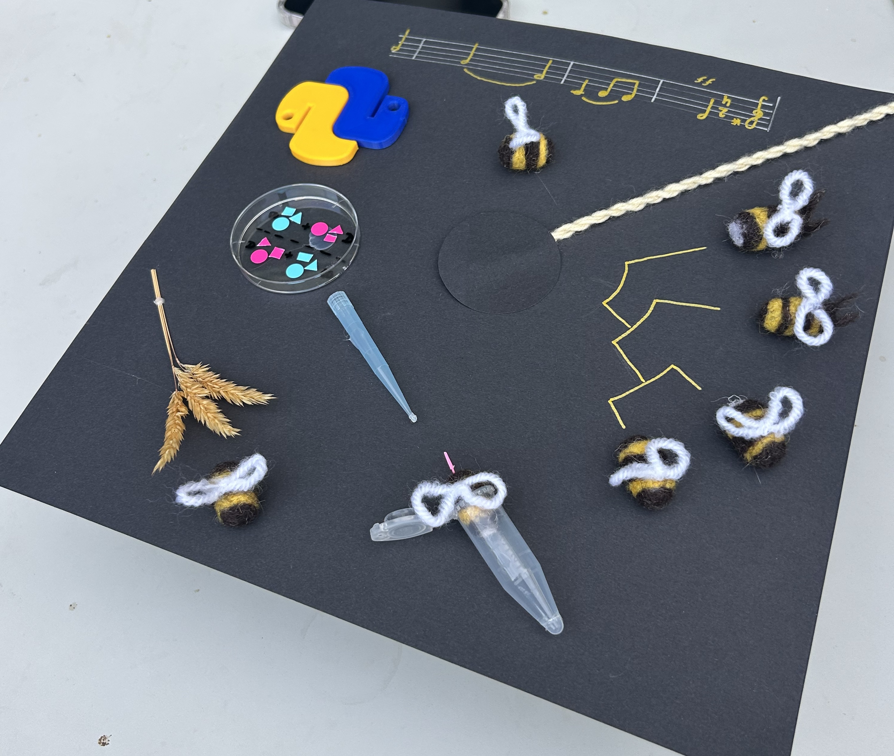 PhD Defense Celebration 2
