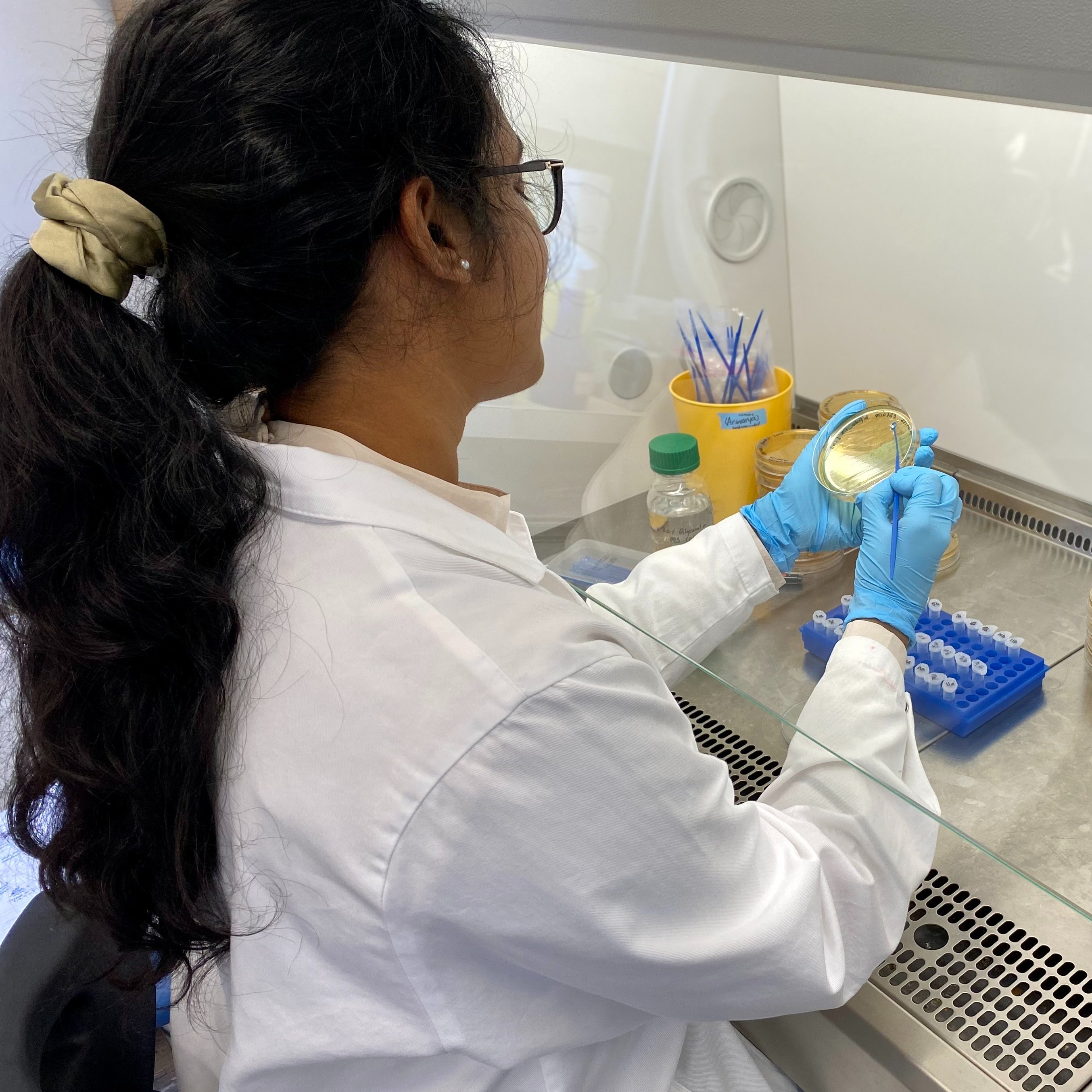 Aiswarya Prasad in microbiologist culturing bacteria